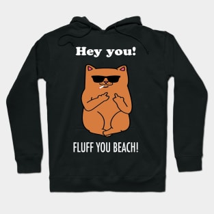 Fluff you Cat lover Hoodie